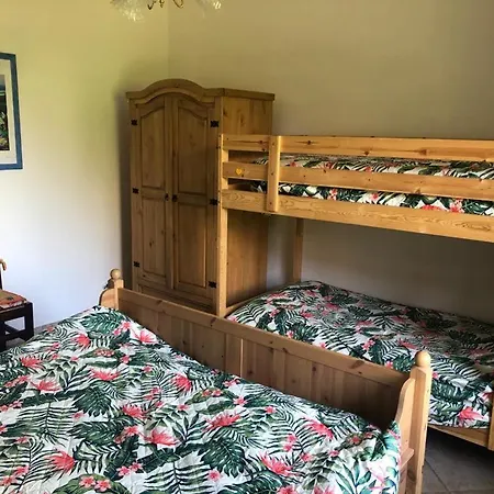 La Casa Di Ulivi Сasa de vacaciones