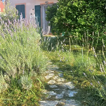 La Casa Di Ulivi Сasa de vacaciones