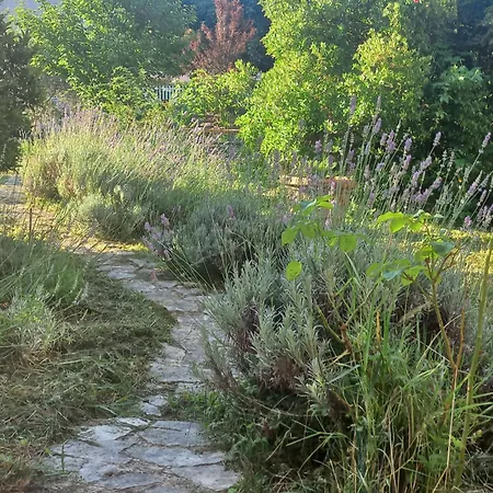 Сasa de vacaciones La Casa Di Ulivi *